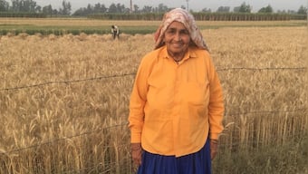 'Shooter Dadi' Chandro Tomar contracts COVID-19, admitted to hospital