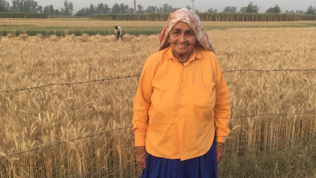 'Shooter Dadi' Chandro Tomar contracts COVID-19, admitted to hospital 'Shooter Dadi' Chandro Tomar contracts COVID-19, admitted to hospital