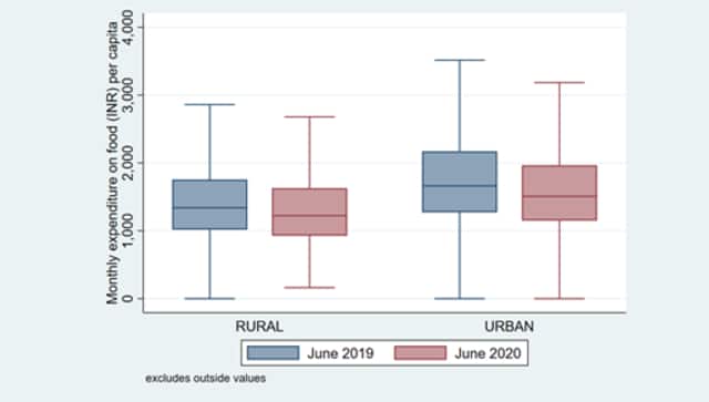 Food expenditures per capita reduced only marginally at the household level between June 2019 and June 2020. Illustration by Anirudh Tagat