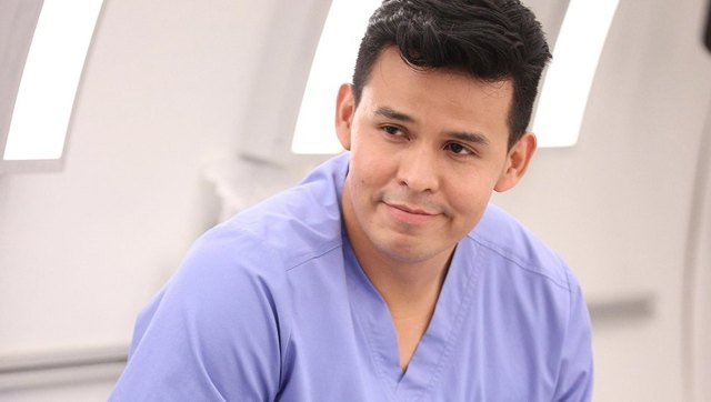 Grey's Anatomy Season 17 casts Robert I Mesa as show's first indigenous American doctor Grey's Anatomy Season 17 casts Robert I Mesa as show's first indigenous American doctor