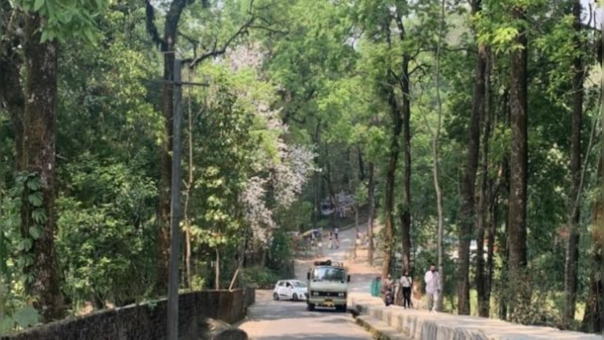 New study finds Sikkim’s urban sacred groves mitigate double the carbon compared to a natural rural forest