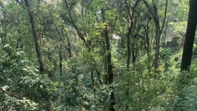 Indonesia's most wanted militant with ties to the Islamic State group killed in jungle shootout Indonesia's most wanted militant with ties to the Islamic State group killed in jungle shootout
