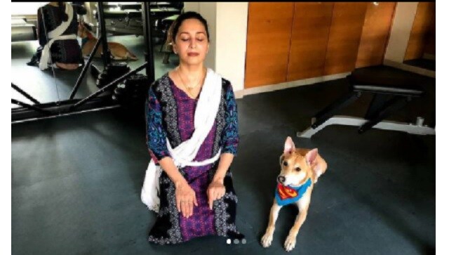 World Health Day: Kajol, Madhuri Dixit Nene, Shilpa Shetty Kundra advocate tips for 'mind, body and soul' World Health Day: Kajol, Madhuri Dixit Nene, Shilpa Shetty Kundra advocate tips for 'mind, body and soul'