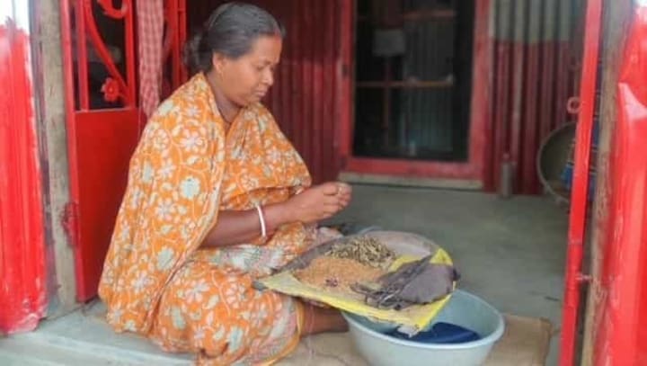West Bengal Election: Matuas swing between hardships and hope amid TMC, BJP slugfest over CAA