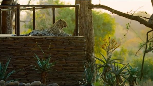 World Earth Day: Apple TV+ documentary The Year Earth Changed is a call for human-nature coexistence