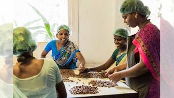 Market for environment-friendly chocolates grows, as brands adopt low-waste processes, socially conscious attitude