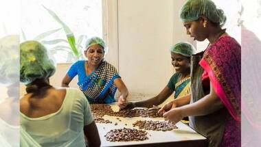 Market for environment-friendly chocolates grows, as brands adopt low-waste processes, socially conscious attitude