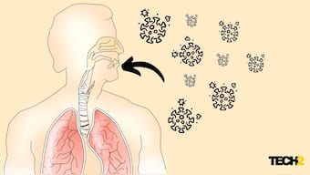 Explainer: New COVID–19 infections cause mutations and are the main driver of new variants, not vaccines