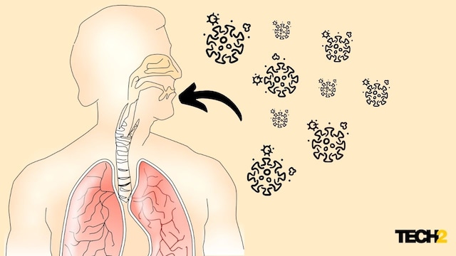 Explained: How to tell the difference between COVID-19 and other respiratory issues