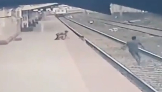 Watch: Mumbai railway pointsman saves six-year-old from getting run over by train; daring rescue caught on camera Watch: Mumbai railway pointsman saves six-year-old from getting run over by train; daring rescue caught on camera