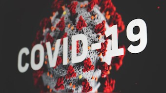 WHO COVID-19 origins report: What are WHO's four theories on the emergence of SARS-CoV-2?