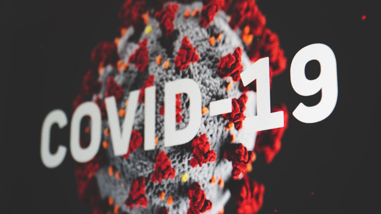 WHO COVID-19 origins report: What are WHO's four theories on the emergence of SARS-CoV-2? WHO COVID-19 origins report: What are WHO's four theories on the emergence of SARS-CoV-2?