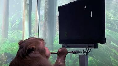 Elon Musk's Neuralink startup releases clip of a monkey playing video game called Pong with its brain