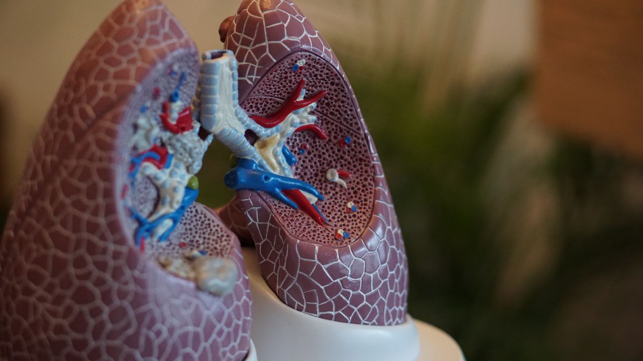 IIT Kharagpur model predicts effect of SARS-CoV-2 virus on lungs, post-infection IIT Kharagpur model predicts effect of SARS-CoV-2 virus on lungs, post-infection