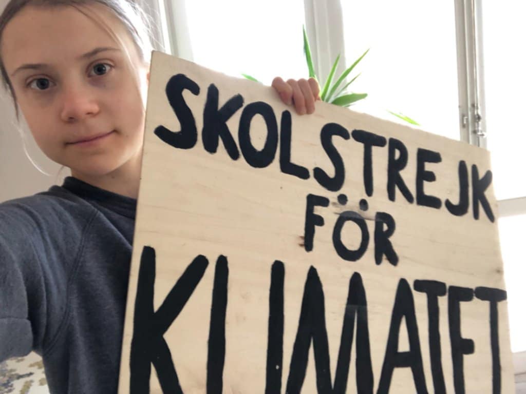Climate activist Greta Thunberg during her climate strike at home. Image credit: Twitter/@GretaThunberg 