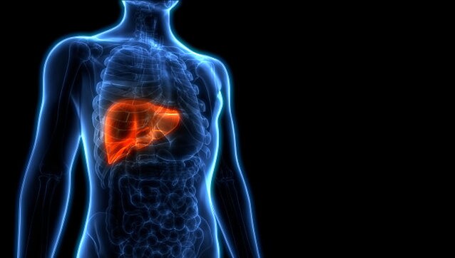 World Liver Day 2021: A few simple ways to keep your second-largest organ healthy