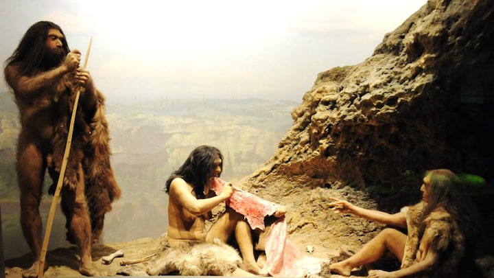 Using fire, early humans permanently changed Stone Age Africa's landscape tens of thousands of years ago