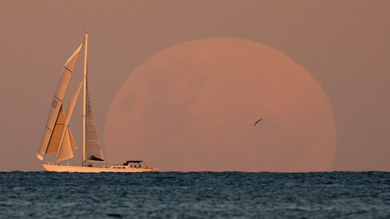 A yacht sails past as the moon rises in Sydney, Australia. Unlike a solar eclipse, there’s no harm in looking at an eclipsed moon. Image credit: AP Photo/Mark Baker