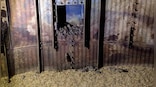 Plague of mice in Australia: After bountiful rains last year, rodents overrun farms, shops and bedrooms