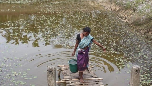 A pond near the plantation is used for drinking, bathing, cooking and washing clothes by the workers of Letekujan (Image: Sanskrita Bharadwaj)