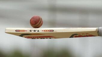 MCC to discuss study on bamboo bats as cheaper alternative to traditional willow ones