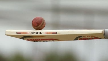 MCC to discuss study on bamboo bats as cheaper alternative to traditional willow ones
