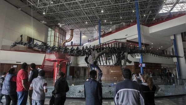 Mexican paleontologists identify new 'talkative' dinosaur, believed to have existed nearly 73 million years ago