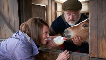 Dream Horse: A charming Welsh drama about a bartender turned racehorse breeder