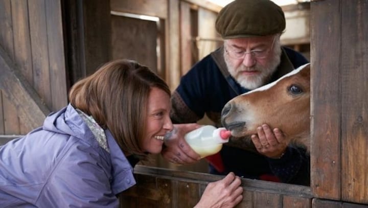 Dream Horse: A charming Welsh drama about a bartender turned racehorse breeder