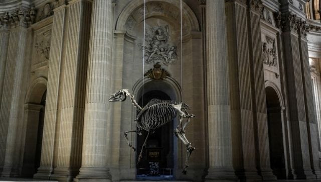 In Paris' Invalides Museum, memorial of Napoleon's favourite horse Marengo outrages fans