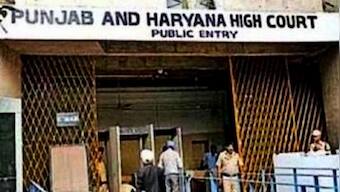 Social acceptance of live-in relations on rise, says Punjab & Haryana HC days after another bench terms it 'unacceptable'
