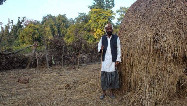 Gulam Rasul, a Van Gujjar stands by his purhal or purchased haystack, strewn over by an elephant. Elephant dung can be seen laying to his left. He is nonchalant as they do not cause excessive damage. Yet, the fact that he is a Van Gujjar, leaves him hanging with an uncertain future. Photo by Radhika Gupta.