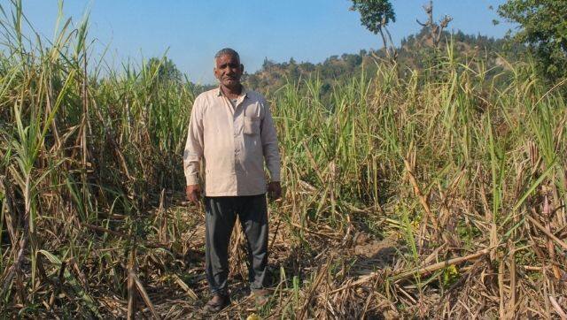 Bahuguna Jeevanan of Peeli Padav village stands between his sugarcane field destroyed by elephants. Photo by Radhika Gupta.
