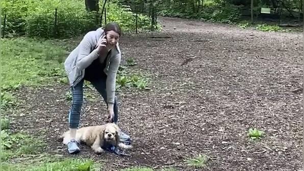 Woman, fired after confrontation with Black birdwatcher at Central Park, sues employer over sacking