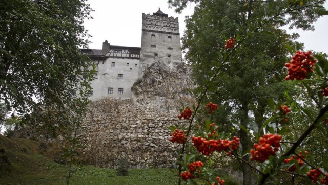 At Dracula's castle in Romania, people queue up for COVID-19 vaccine shots and house tours At Dracula's castle in Romania, people queue up for COVID-19 vaccine shots and house tours