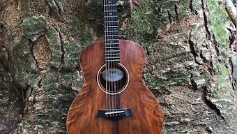 From resource scarcity to historical legacies of environmental conflict: A look at the concerns surrounding guitar industry