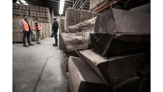 At Cole Clark’s Melbourne factory, CEO Miles Jackson explains the unlikely story behind salvaging California Redwood from Victoria for use in guitar-making. Paul Jones / UOW Media via The Conversation