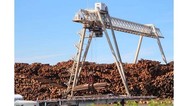 Industrial sawmilling in Washington state, USA. Guitar timbers do not come from such sawmills. Photo courtesy: Authors via The Conversation 