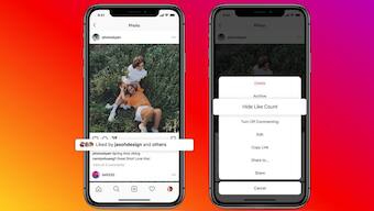 Facebook, Instagram users can now choose to hide like counts: How it works