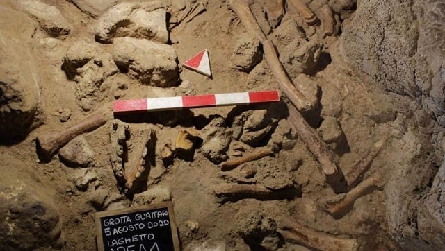 Italian archaeologists discover fossilised remains of nine Neanderthals in Rome Italian archaeologists discover fossilised remains of nine Neanderthals in Rome