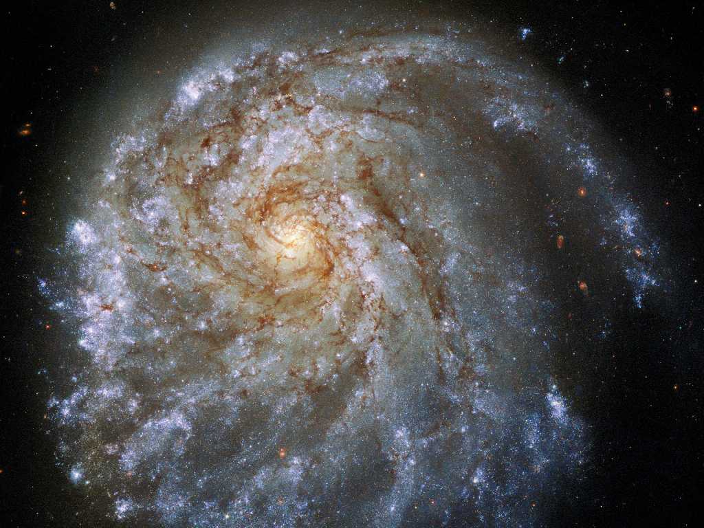 The spiral galaxy NGC 2276 lies 120 million light-years away, in the northern constellation Cepheus. Credits: Publication Partners: NASA, ESA, STScI, Paul Sell (University of Florida)
