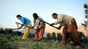 Increased work negatively impacts women farmers' nutrition, ability to make balanced meals: Study