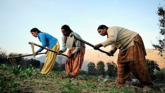 PM Modi to release 10th instalment of PM-KISAN fund on 1 Jan, transfer Rs 20,000 cr to over 10 cr farmers