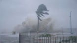 Central team on a three-day visit to Odisha to assess damage caused by Cyclone Jawad