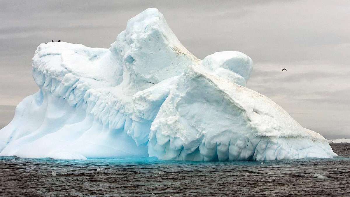 In the Arctic's, global warming is happening three times faster than in the rest of the world