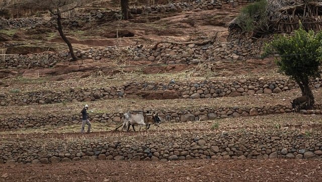 A farmer ploughs the fields by the side of a road leading to the town of Abi Adi. Photo by AP/Ben Curtis