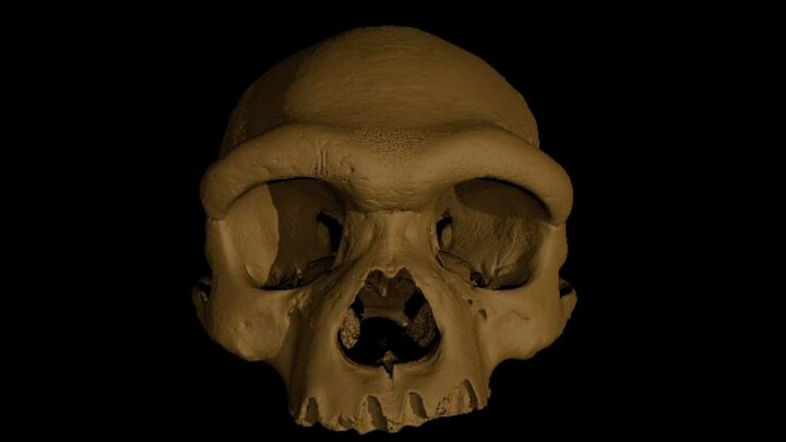 'Dragon Man' skull discovery in China may change our understanding of human evolution