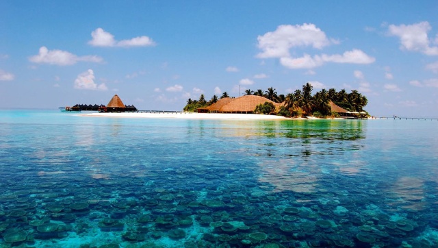 Maldives reopens for Indian tourists from 15 July: All you need to know about travelling to island nation Maldives reopens for Indian tourists from 15 July: All you need to know about travelling to island nation