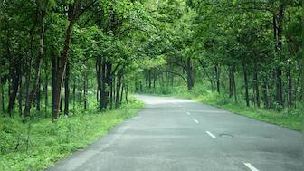 Time to grant environmental clearances down to 75 days from 105, Centre tells Lok Sabha