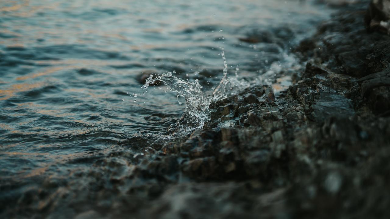 World Oceans Day 2021: Can we use bio-fouling organisms to extract energy from ocean waves? World Oceans Day 2021: Can we use bio-fouling organisms to extract energy from ocean waves?